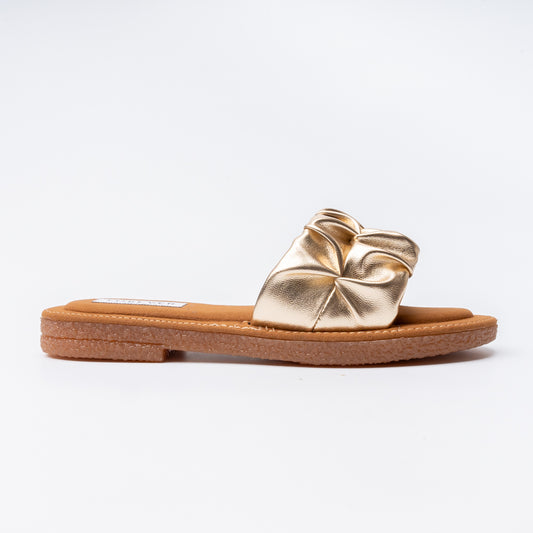 Dragonfly Dash - Golden Flats