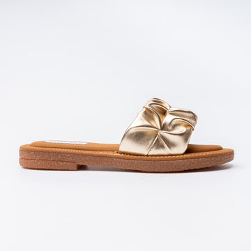 Dragonfly Dash - Golden Flats