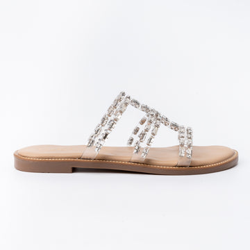 Monarch Magic - Silver Flats