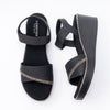 Midnight Glam - Black Wedges